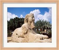 Alabaster Sphinx, Memphis, Egypt Fine Art Print