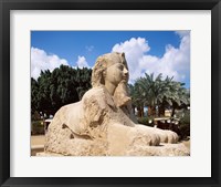 Alabaster Sphinx, Memphis, Egypt Framed Print