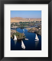 Feluccas on the Nile River, Aswan, Egypt Fine Art Print