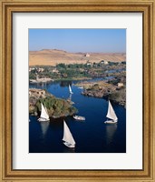 Feluccas on the Nile River, Aswan, Egypt Fine Art Print