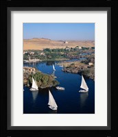Feluccas on the Nile River, Aswan, Egypt Fine Art Print