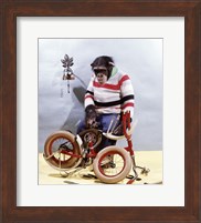 Bicycle Assembly Fine Art Print