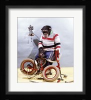Bicycle Assembly Fine Art Print