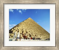 Giza Pyramids, Giza, Egypt (camel) Fine Art Print
