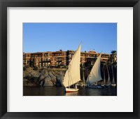Sailboats in a river, Old Cataract Hotel, Aswan, Egypt Fine Art Print