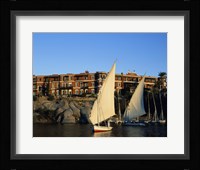 Sailboats in a river, Old Cataract Hotel, Aswan, Egypt Fine Art Print