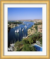 Sailboats In A River, Nile River, Aswan, Egypt Vertical Landscape Fine Art Print