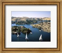 Sailboats In A River, Nile River, Aswan, Egypt Landscape Fine Art Print