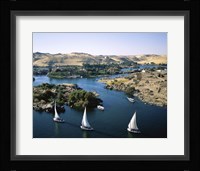 Sailboats In A River, Nile River, Aswan, Egypt Landscape Fine Art Print