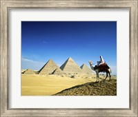 Man riding a camel near the pyramids, Giza, Egypt Fine Art Print