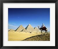 Man riding a camel near the pyramids, Giza, Egypt Fine Art Print