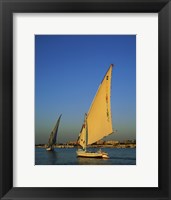 Sailboats sailing in a river, Nile River, Luxor, Egypt Fine Art Print