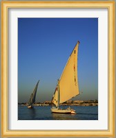 Sailboats sailing in a river, Nile River, Luxor, Egypt Fine Art Print