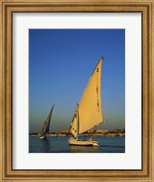 Sailboats sailing in a river, Nile River, Luxor, Egypt Fine Art Print