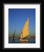 Sailboats sailing in a river, Nile River, Luxor, Egypt Fine Art Print