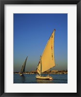 Sailboats sailing in a river, Nile River, Luxor, Egypt Fine Art Print