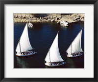 Sailboats in a river, Nile River, Aswan, Egypt Fine Art Print