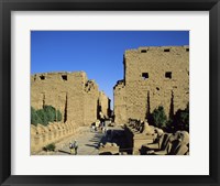 Avenue of the Sphinxes, Temples of Karnak, Luxor, Egypt Fine Art Print