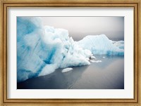 Icebergs floating on water, Columbia Glacier, Prince William Sound, Alaska, USA Fine Art Print