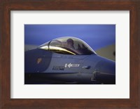 General Dynamics F-16 Falcon Jet Fighter Closeup Fine Art Print