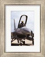 U.S. Air Force  F-16 Falcon Jet Fighter Fine Art Print