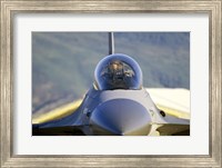 F-16 Fighter Jet US Air Force Fine Art Print