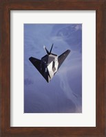 F-117 Stealth Fighter U.S. Air Force Fine Art Print