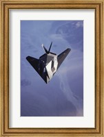 F-117 Stealth Fighter U.S. Air Force Fine Art Print