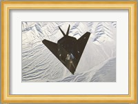 Lockheed F-117 Stealth Fighter Fine Art Print