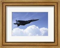U.S. Air Force F-15 Fine Art Print