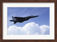 U.S. Air Force F-15 Fine Art Print