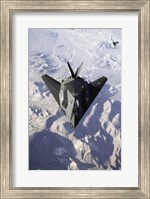 US Air Force F-117 Stealth Fighter Fine Art Print