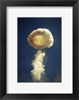 Mushroom cloud formed bomb testing Fine Art Print