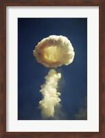 Mushroom cloud formed bomb testing Fine Art Print