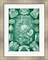 Seahorse and Angler Fish Fine Art Print