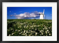 Ballycopeland Windmill, Millisle, Northern Ireland Fine Art Print