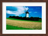 Traditional windmill in a field, Skerries Mills Museum, Skerries Fine Art Print