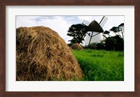 Traditional windmill in a field, Tacumshane Windmill, Ireland Fine Art Print