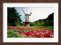 Low angle view of a windmill in a park, Golden Gate Park, San Francisco, California, USA Fine Art Print