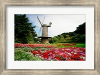 Low angle view of a windmill in a park, Golden Gate Park, San Francisco, California, USA Fine Art Print