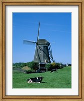 Windmill and Cows, Wilsveen, Netherlands Fine Art Print