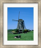 Windmill and Cows, Wilsveen, Netherlands Fine Art Print