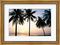 Silhouette of palm trees on a beach during sunrise, Nha Trang Beach, Nha Trang, Vietnam Fine Art Print