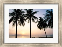 Silhouette of palm trees on a beach during sunrise, Nha Trang Beach, Nha Trang, Vietnam Fine Art Print
