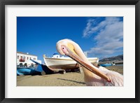 Pelican and Fishing Boats on Beach, Mykonos, Cyclades Islands, Greece Fine Art Print