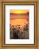 Sunrise over a lake Fine Art Print
