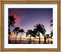 Silhouette of palm trees on the beach, Waikiki Beach, Honolulu, Oahu, Hawaii, USA Fine Art Print