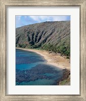 High angle view of a bay, Hanauma Bay, Oahu, Hawaii, USA Vertical Fine Art Print