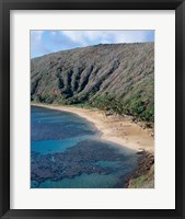 High angle view of a bay, Hanauma Bay, Oahu, Hawaii, USA Vertical Fine Art Print