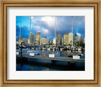 Sailboats docked in a harbor, Ala Wai Marina, Waikiki Beach, Honolulu, Oahu, Hawaii, USA Fine Art Print